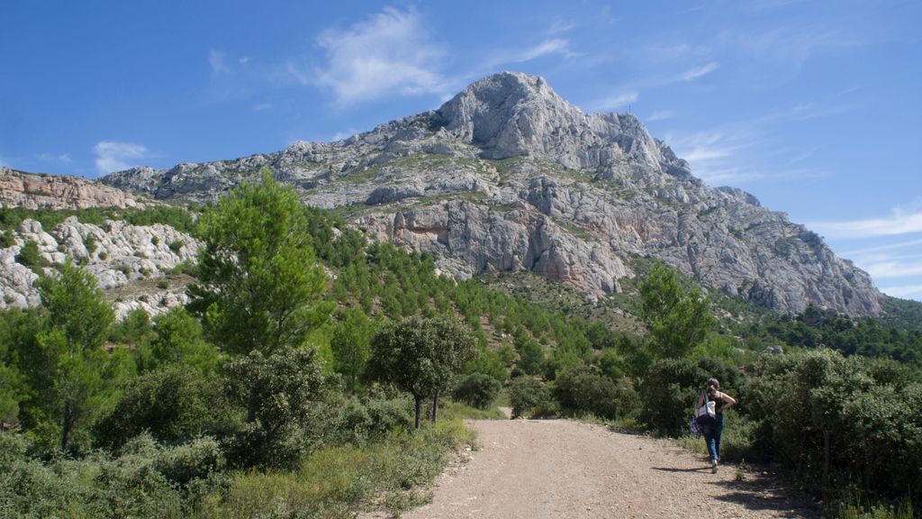 On slopes of the St. Victoire, Aix-en-Provence