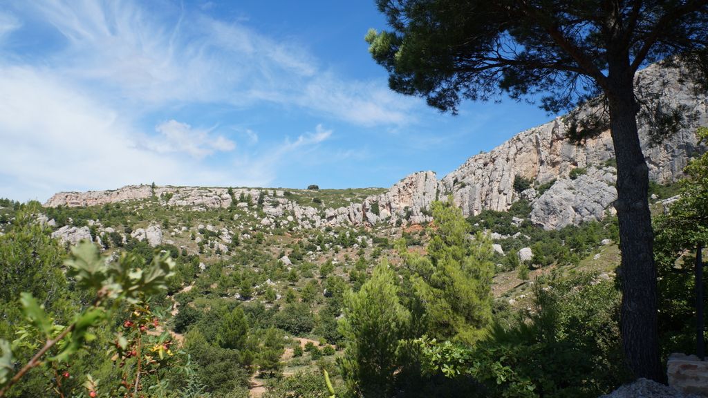 On slopes of the St. Victoire, Aix-en-Provence