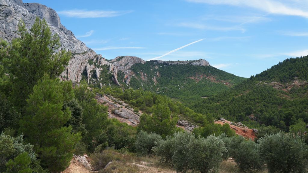 On slopes of the St. Victoire, Aix-en-Provence