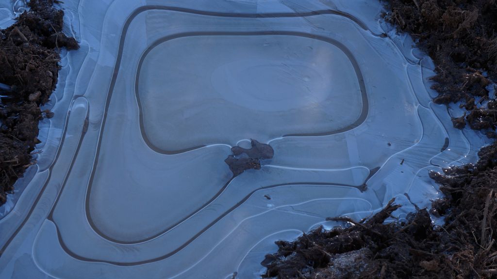 The shapes of Nature (frozen puddles breaking up naturally)