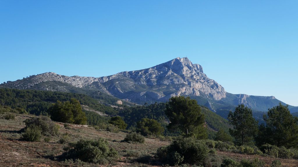 On the hillside of the St. Victoire