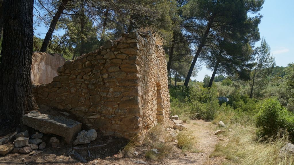 Forest around the St. Victoire, Aix-en-Provence