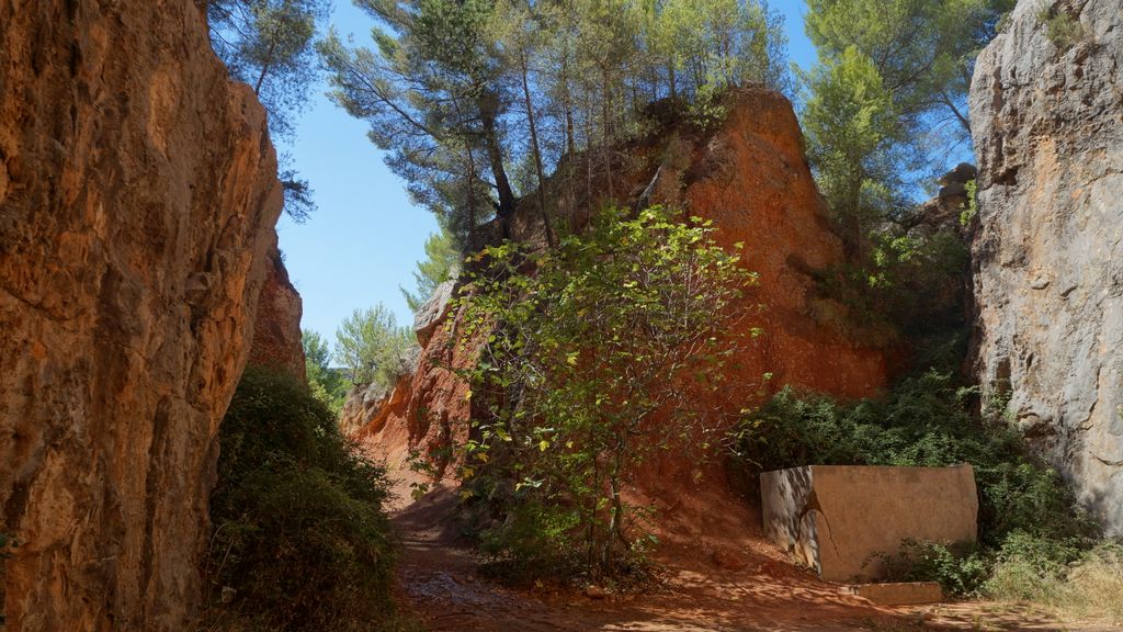 Late summer on the slopes of the Sainte Victoire, Aix-en-Provence