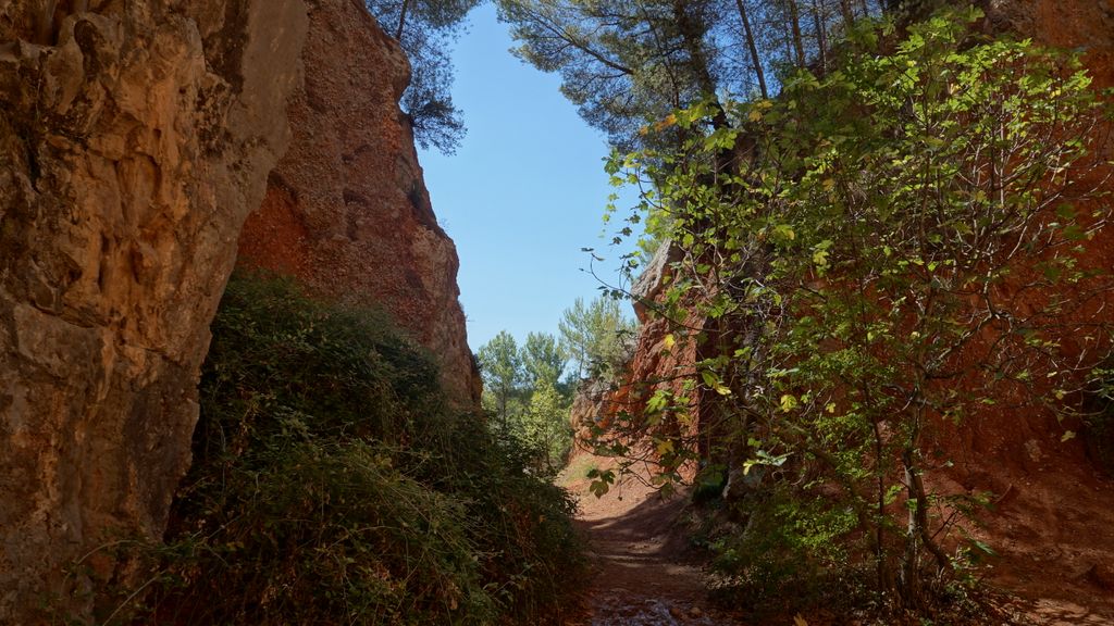 Late summer on the slopes of the Sainte Victoire, Aix-en-Provence