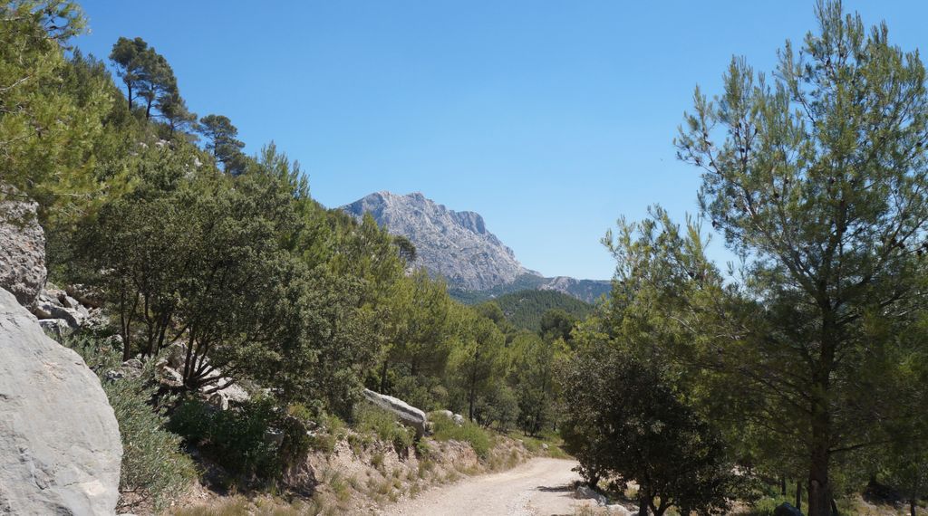 On the slopes of the St. Victoire, nearby Aix-en-Provence