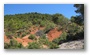 Forest on the slopes of the St Victoire mountain, by le Tholonet, nearby Aix-en-Provence