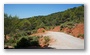 Forest on the St. Victoire by Le Tholonet, nearby Aix-en-Provence