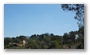 Forest on the St. Victoire by Le Tholonet, nearby Aix-en-Provence