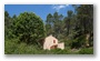 Forest on the St. Victoire by Le Tholonet, nearby Aix-en-Provence