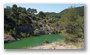 Forest on the St. Victoire by Le Tholonet, nearby Aix-en-Provence