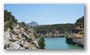 Forest on the St. Victoire by Le Tholonet, nearby Aix-en-Provence