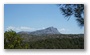 Forest on the St. Victoire by Le Tholonet, nearby Aix-en-Provence