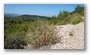 In the forest around the St. Victoire, Aix-en-Provence