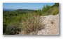 In the forest around the St. Victoire, Aix-en-Provence