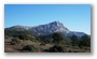 On the hillside of the St. Victoire