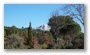 On the hillside of the St. Victoire