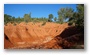 Colours of nature... (the red soil on the southern slopes of the St. Victoire)