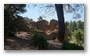 Forest around the St. Victoire, Aix-en-Provence