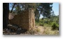 Forest around the St. Victoire, Aix-en-Provence