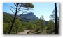 Late summer on the slopes of the Sainte Victoire, Aix-en-Provence