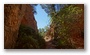 Late summer on the slopes of the Sainte Victoire, Aix-en-Provence