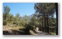 On the slopes of the St. Victoire, nearby Aix-en-Provence