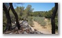 On the slopes of the St. Victoire, nearby Aix-en-Provence