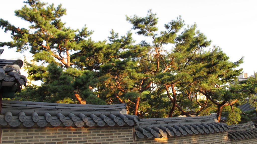 Deoksugung Palace, Seoul, Korea