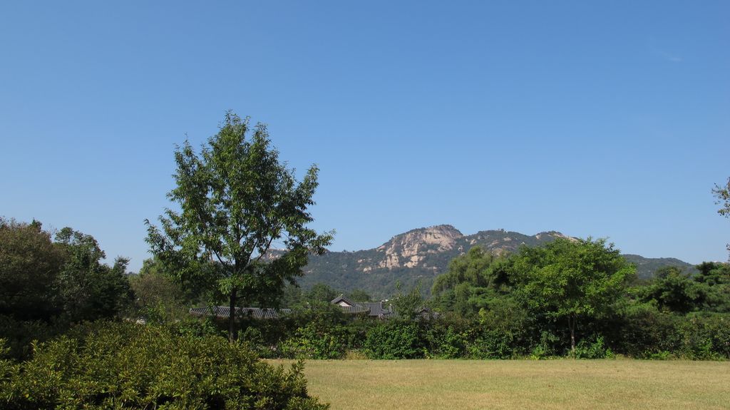 View behind the Gyeingbokgung Palace