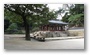 Secret Garden, Changdeokgung Palace, Seoul, South Korea