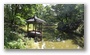 Secret Garden, Changdeokgung Palace, Seoul, South Korea