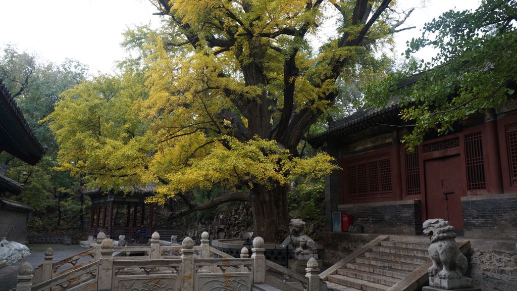 Jinci Park and Temple, Taiyuan. (It was founded about 1,400 years ago and expanded during the following centuries, resulting in a diverse collection of more than 100 sculptures, buildings, terraces, and bridges.)