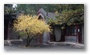 Jinci Park and Temple, Taiyuan. (It was founded about 1,400 years ago and expanded during the following centuries, resulting in a diverse collection of more than 100 sculptures, buildings, terraces, and bridges.)