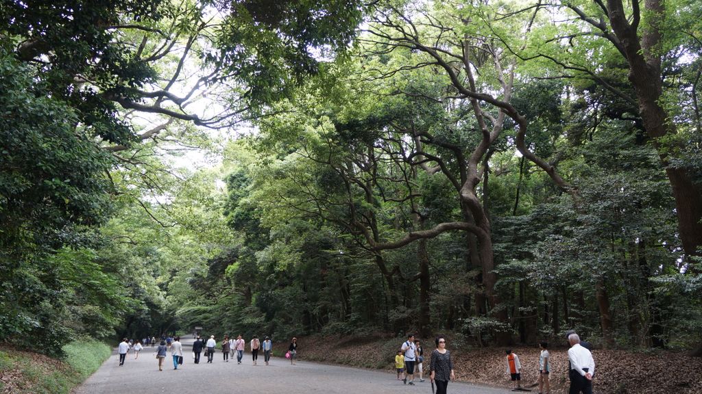 Meiji Shrine, Tokyo, Japan