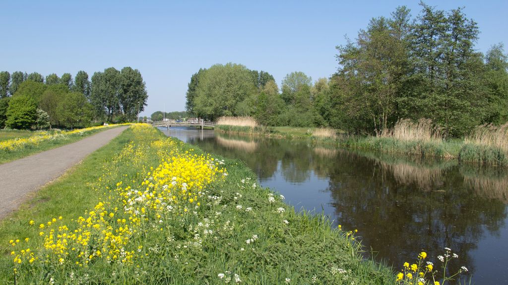 The Dutch countryside in spring (looks like summer...)