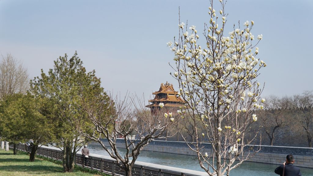 Forbidden City, Beijing