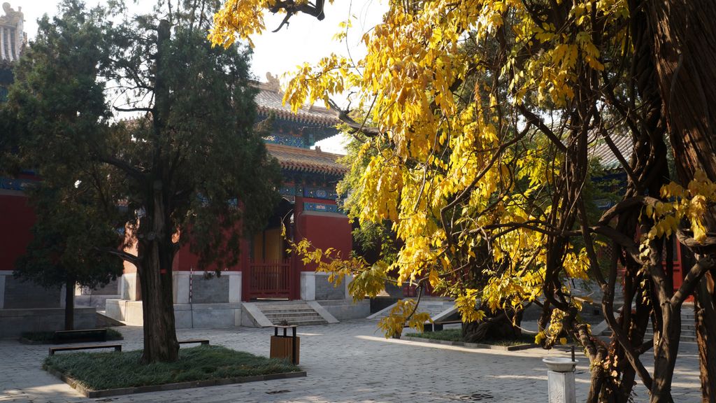 Confucius Temple, Beijing; one of the lesser known places to many, which makes it a peaceful and beautiful place in the big city...