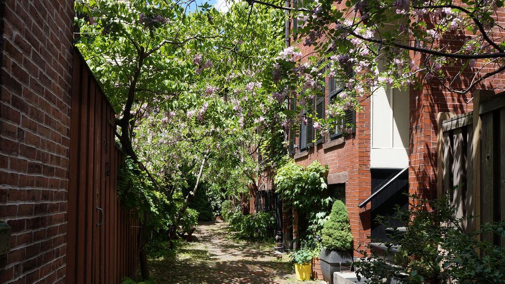 Small courtyard on Revere Street, Beacon Hill, Boston