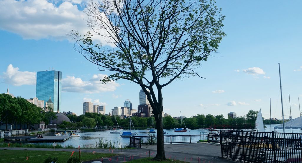 Back Bay, Along the Charles River, Boston