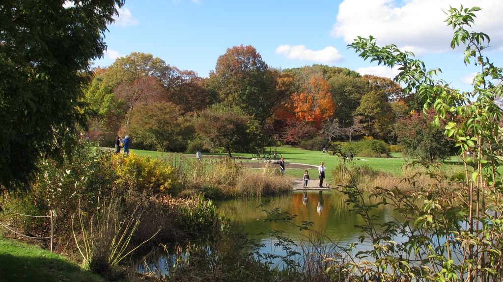 Arnold Arboretum by Roslindale, by Boston