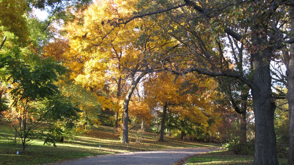 Arnold Arboretum by Roslindale, by Boston