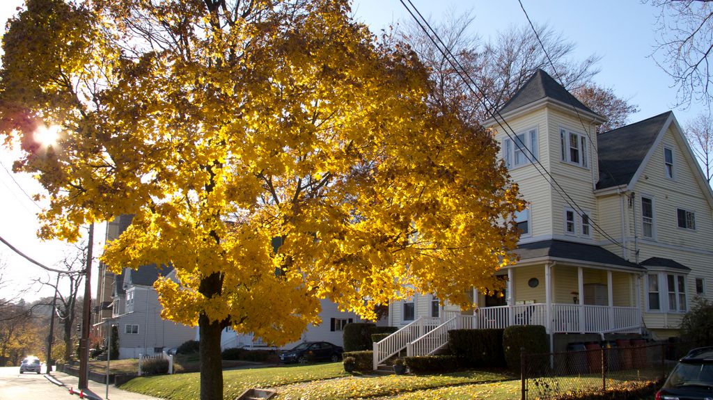 Roslindale, Boston