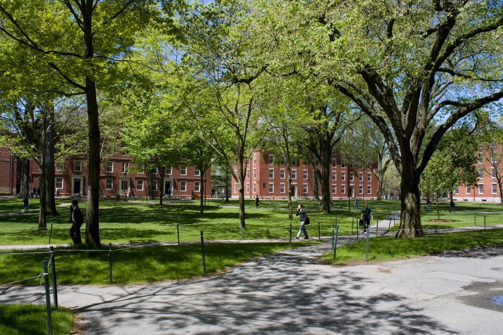 Harvard University