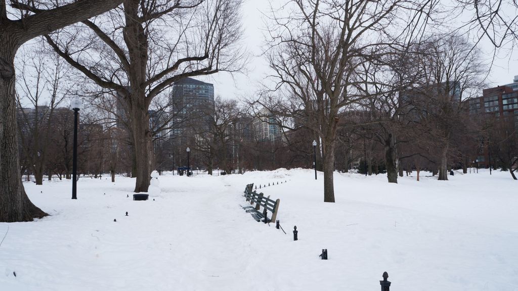 Boston Public Garden