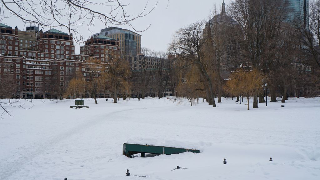 Boston Public Garden