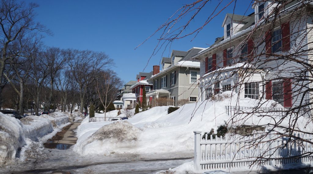 Arborway, Boston