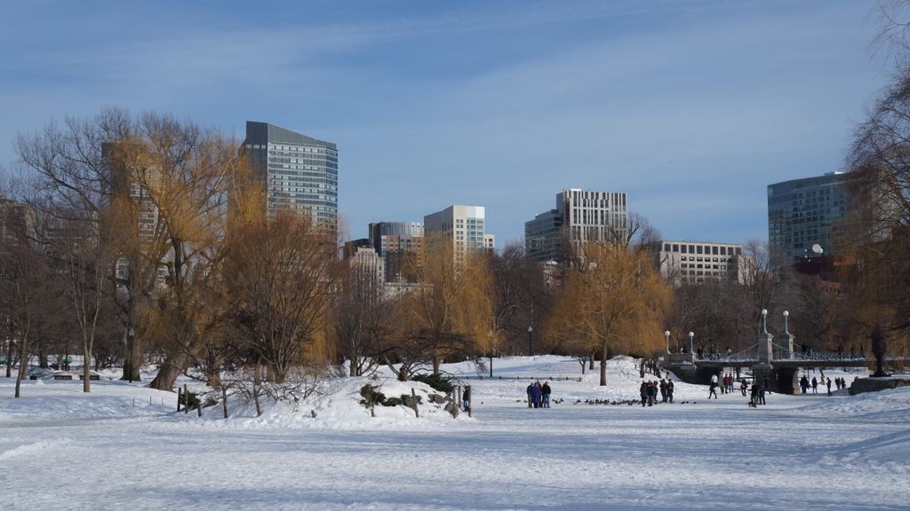 Public Gardens, Boston, on a beautiful late winter day