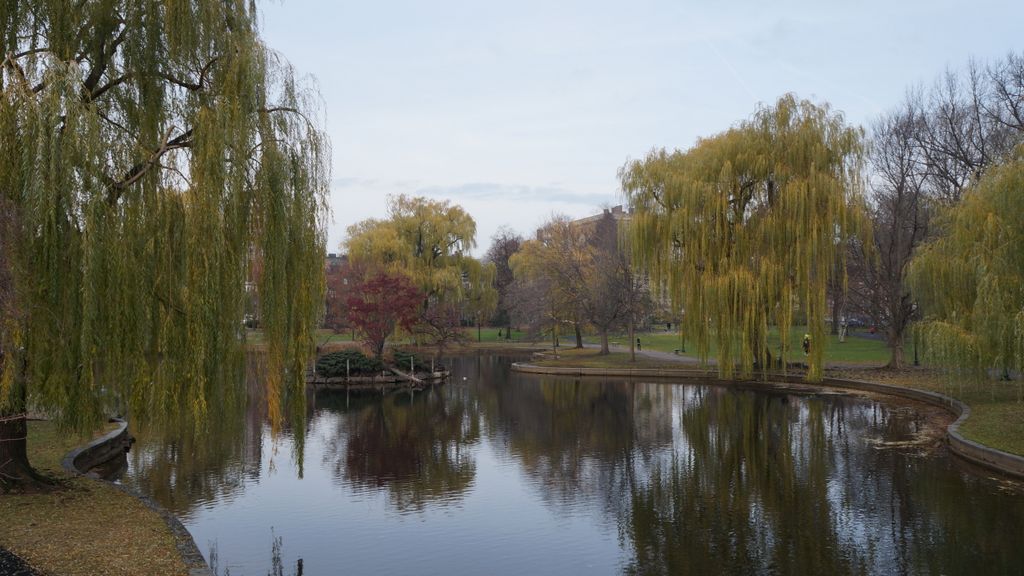 Boston Public Gardens