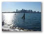 Boston Skyline from the airport side