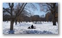 Public Gardens, Boston, on a beautiful late winter day